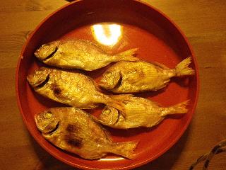 鯛1231.JPG
