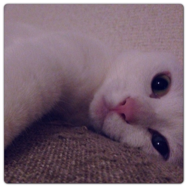 rblog-20130523001149-01.jpg