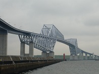 P1020782-1.jpg