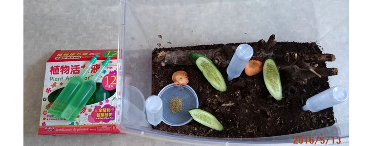 ５／１３スズちゃん給水装置.jpg