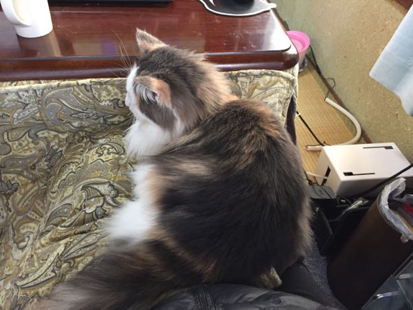 rblog-20151213120520-04.jpg