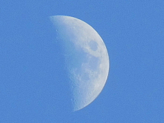 conv0795.JPG