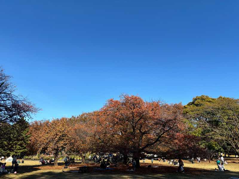 渡辺的☆大道芸☆観覧日記