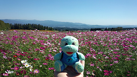 IMG_20131012_103645.jpg