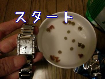 スタート2.JPG