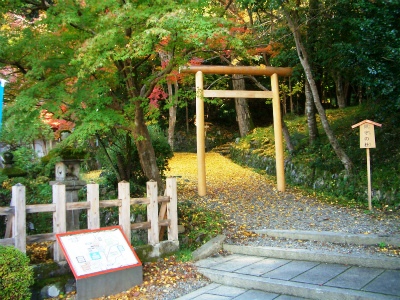 2012_1114_101001-CIMG7753.jpg