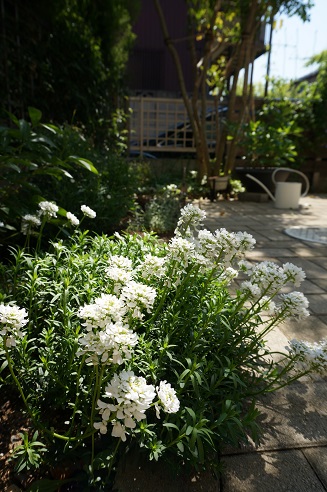 DSC05177.JPG