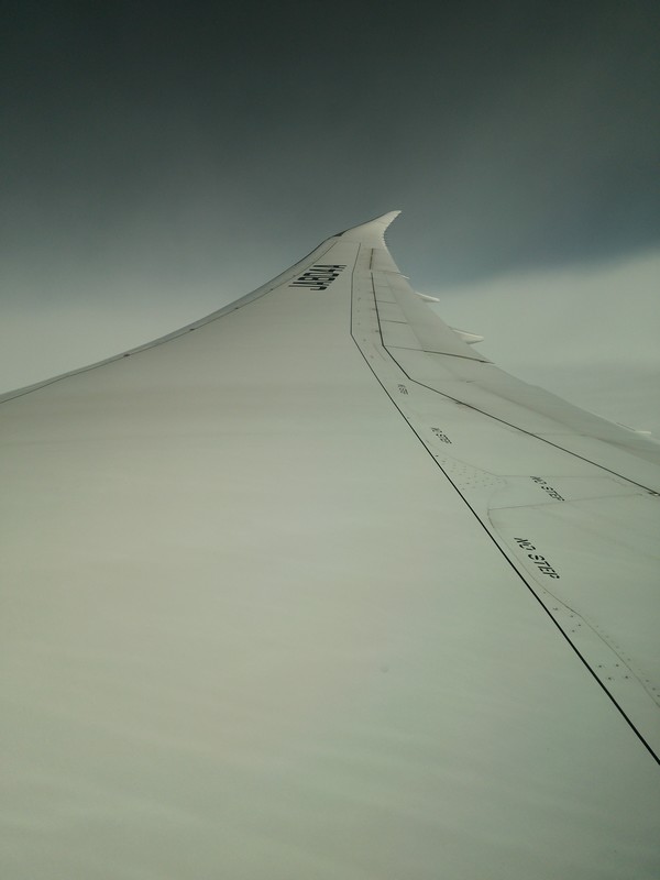 B787wing.jpg