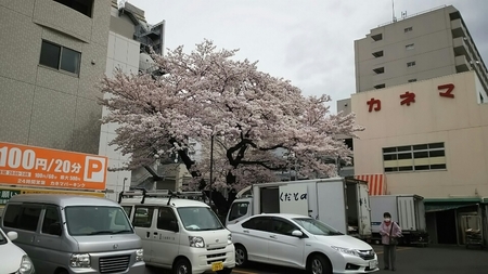 20170413-2.jpg