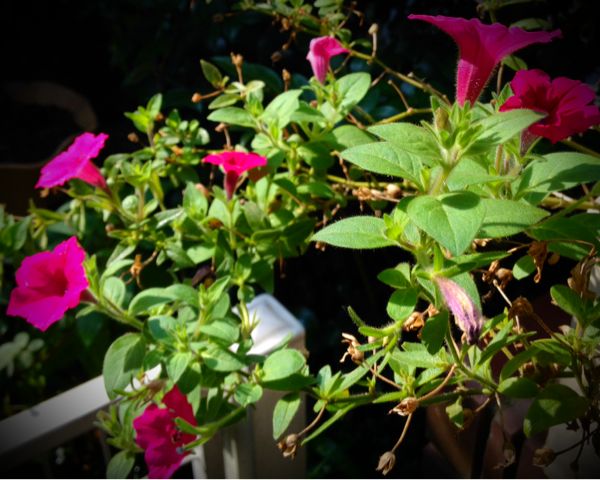 rblog-20140730130525-02.jpg