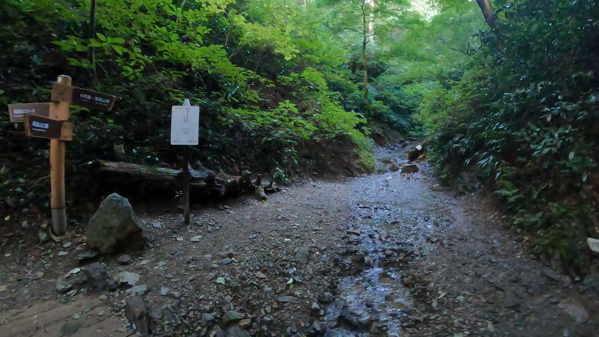 海と山の湘南暮らし 番外編 高尾山登山2023秋 | 海と山の湘南暮らし - 楽天ブログ