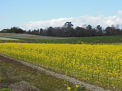 conv0100.JPG
