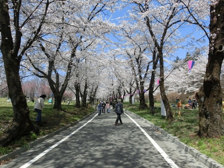 千本桜