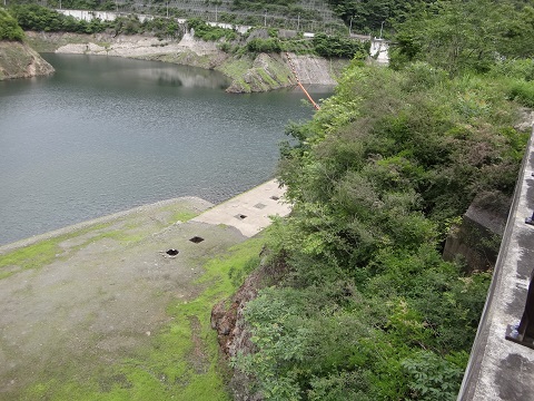 DSC09426.JPG