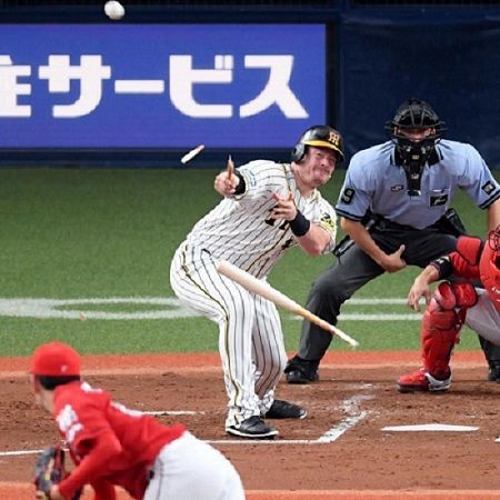 データで楽しむプロ野球 徳虎の 嗚呼 縦縞応援人生 楽天ブログ データで楽しむプロ野球 徳虎の 嗚呼 縦縞応援人生 楽天ブログ
