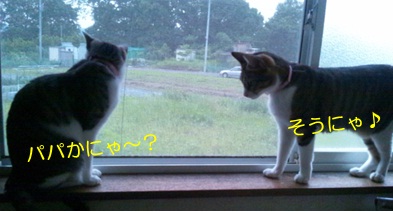 20120707_3.jpg