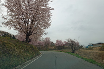 山形30.jpg