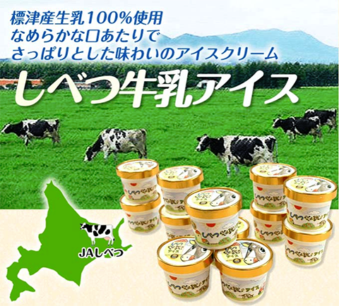 北海道 しべつ 牛乳アイス アイスクリーム 12個セット