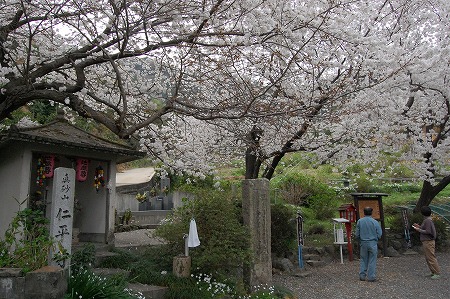 s-DSC_0045.jpg