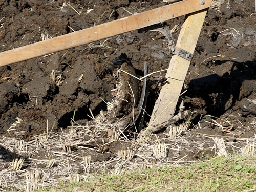 馬耕　みちのく公園