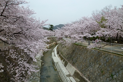 妙法寺川２