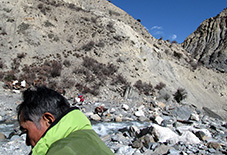 p IMG_0130.jpg