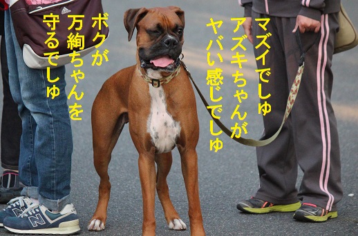 守る