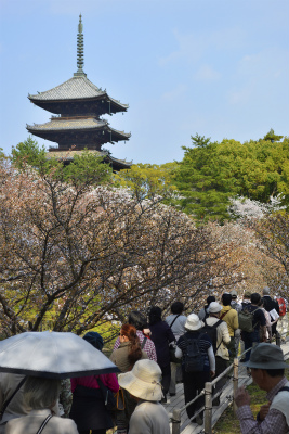 仁和寺7