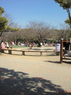 NEC_0001.JPG