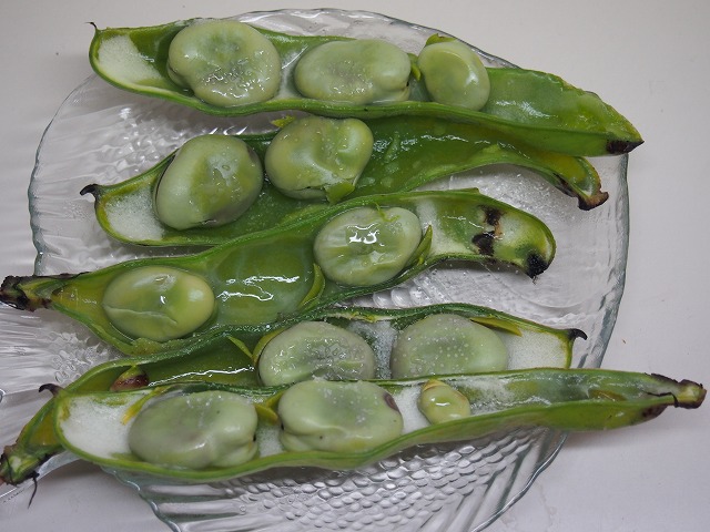 P5070003.jpg