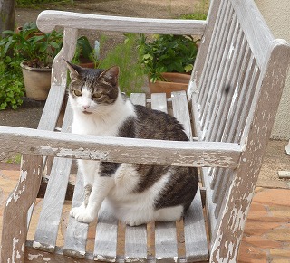 P1180341-ass.jpg