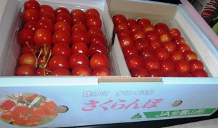 DSCF6588.JPG