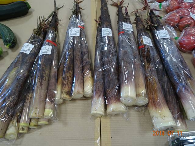 DSC04378_R.JPG