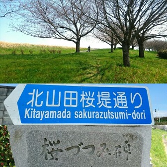 1459057717370.jpg