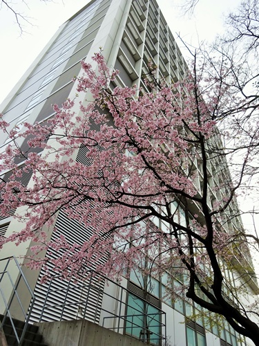 DSC02853.JPG