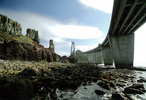03.jpg