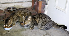 5DA_9718-4.jpg