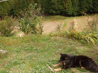 PA200026.JPG