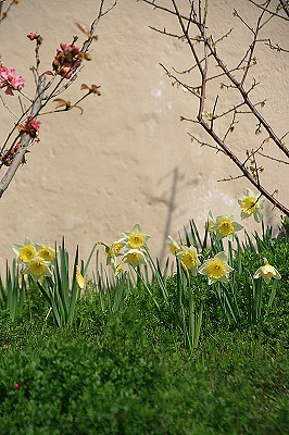 IMG_6837sharp.jpg