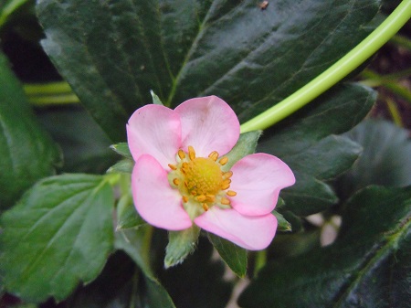 DSCN5777.JPG
