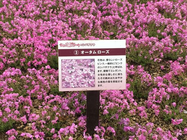 rblog-20170516141537-05.jpg