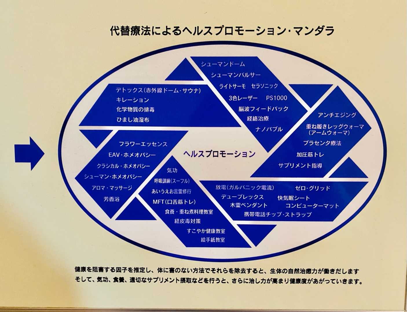 スーパーゼログリッド 電磁波対策グッズ 矢山利彦 矢山クリニック エクリプス - 置物