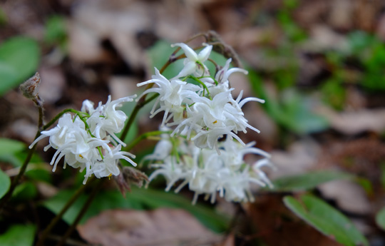 2016 03 31_2207.jpg