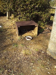 猫小屋.jpg