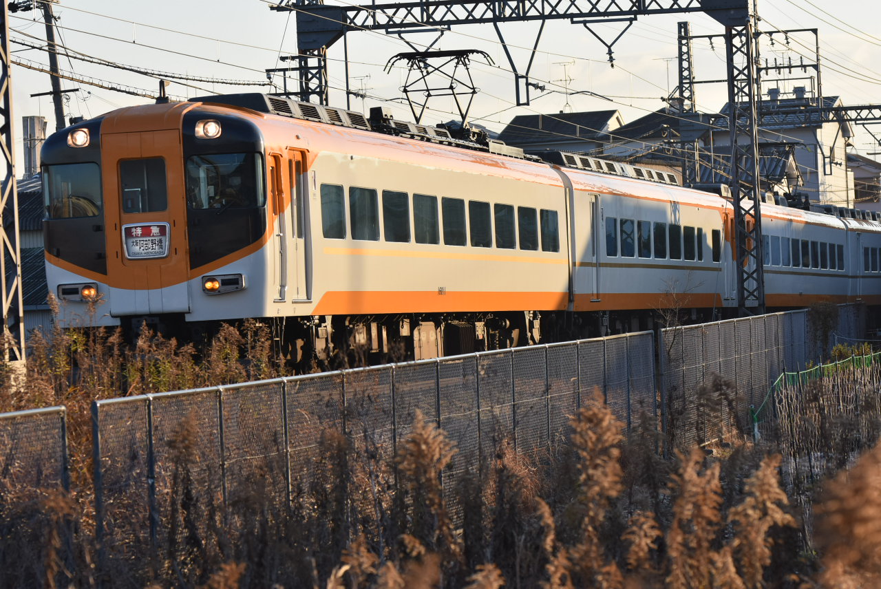 DSC_3906.JPG