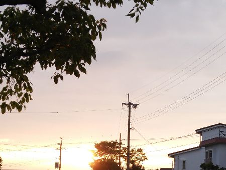 DSC_1135.JPG