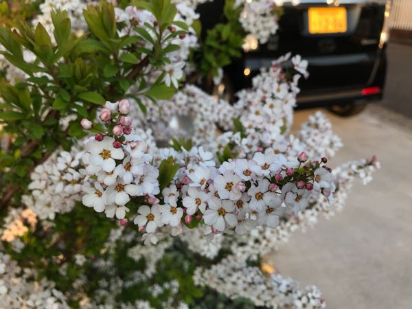 rblog-20180325184811-05.jpg