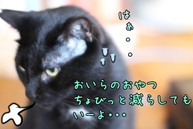 画像 184.jpg