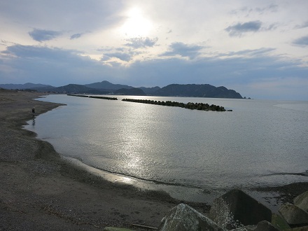 IMG_2242.jpg