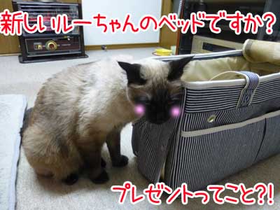 １０.JPG